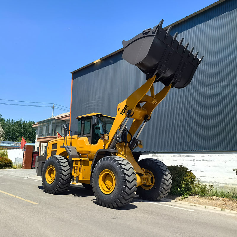 Large Wheel Loader