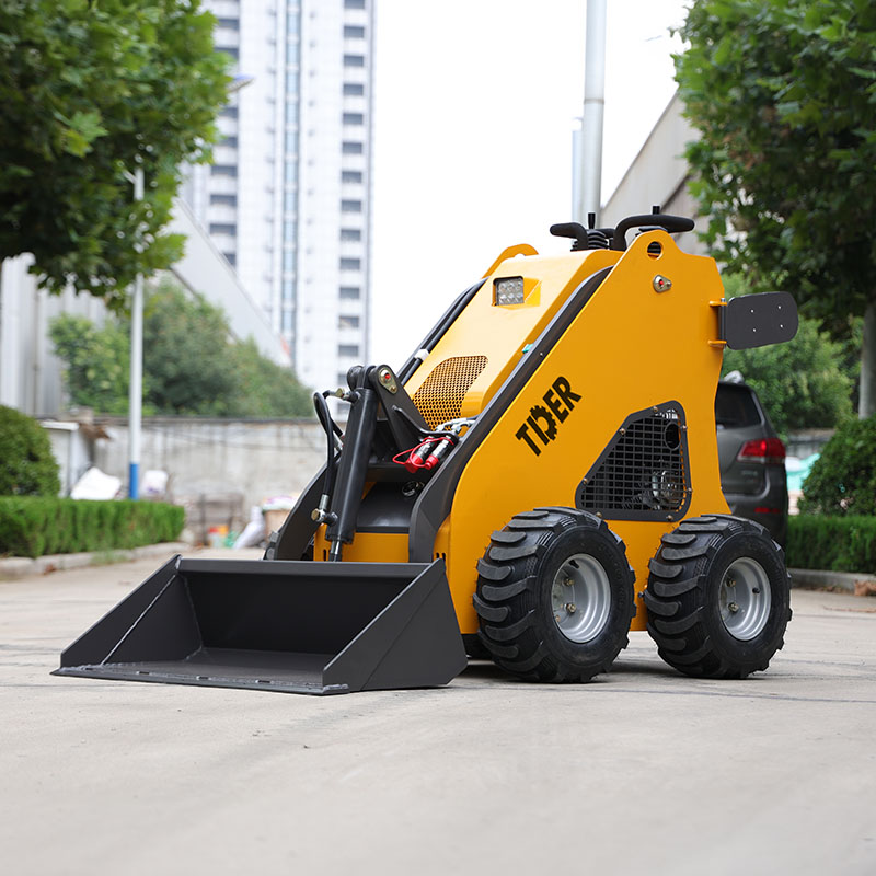 Stand On Skid Steer