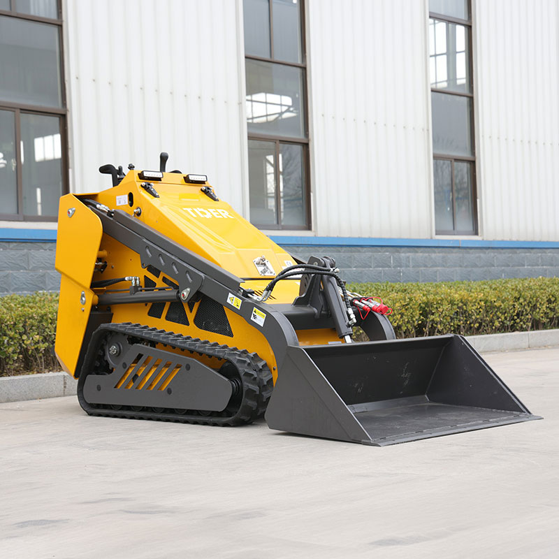 Skid Steer On Tracks