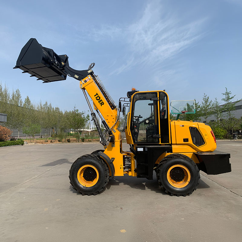 Telescopic Loader